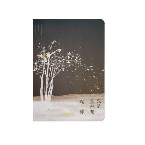 Notes Lenwa Drzewa B6/96 linia, Czarny